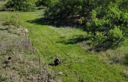 401 CR 498, Goldsboro, TX 79519