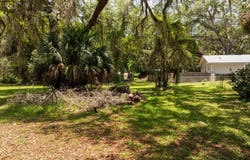 NELSONS POINT, Keystone Heights, FL 32656