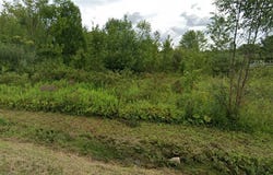 Lower Lawrence Street, Westmoreland, NY 13440