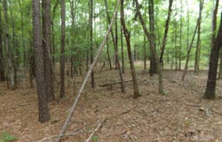 3.25 Ac Slick Rock Road, Chester, SC 29730