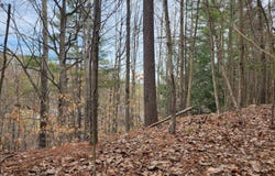 151 Church Lane, Au Sable Forks, NY 12912