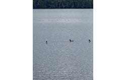 416 S Shore Road, Island Falls, ME 04747