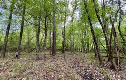 0 County Road 6, Sweet Water, AL 36782