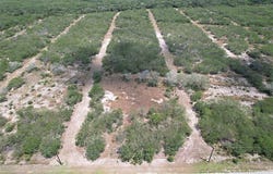 195 CR 1461, Alice, TX 78332