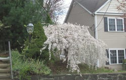 739 Lindbergh Avenue, Peekskill, NY 10566