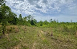 CR 2742, Naples, TX 75568