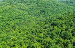 0 Hickory Hill Circle, Duff, TN 37729