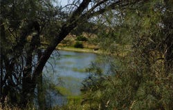 7878 O'Donovan Road, Creston, CA 93432