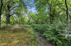 Tbd (lots 6a-10a) Walton, Corsicana, TX 75110
