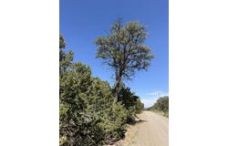 Tract 3 Gonzales Road, Edgewood, NM 87015