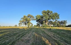 County Road 3512, Dike, TX 75437