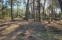 Hickory Lane lot: 5, Bullard, TX 75757