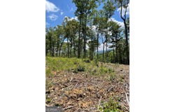 Lot 95 The Ridges, Morganton, GA 30560