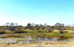 N County Rd 404, Llano, TX 78643
