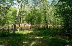0 Tract 3 off Madison 320, Marquand, MO 63655