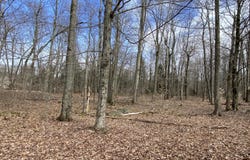 1018 W Wadi Road W, Pocono Lake, PA 18347
