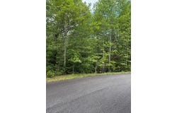 Lot 44 Three Springs Lot 44, Morganton, GA 30512