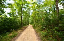 9999 Big Springs School Road, Irvine, KY 40336