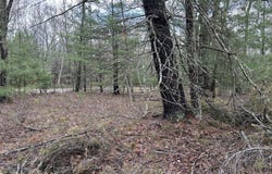Lot 129 Pitch Pine Road, Dingmans Ferry, PA 18328