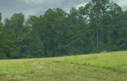 Us-51, Crystal Springs, MS 39059