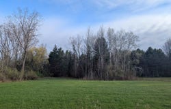 Pine Street, Omer, MI 48749