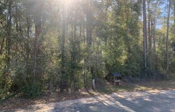Forest Hill Ln, Milton, FL 32570