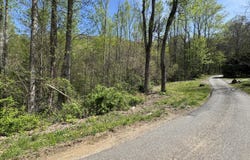 TBD (B) Browning Branch Rd, Waynesville, NC 28786