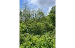 0 Buchanan Road, Waverly, OH 45690