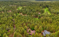 3248 White Oak Drive, Pinetop, AZ 85935