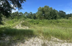 E Street, Pascagoula, MS 39567