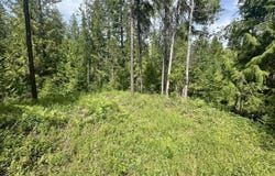XXXX CEDAR CREEK ROAD, COLVILLE, WA 99114