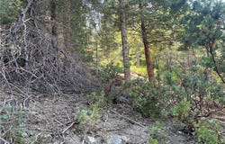 28 Lot 28 Forest Lane, Twin Peaks, CA 92391