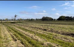 1503 S Header Canal Road, Fort Pierce, FL 34945