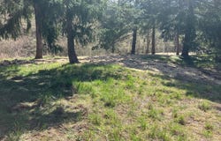 NE Center, Sheridan, OR 97378