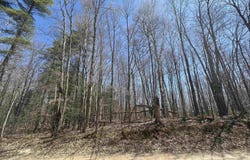 Lots 93-102 Hiawatha Shores, Manistique, MI 49854