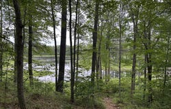 M 7 L 5-5 Blandings Lane, Shapleigh, ME 04076