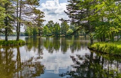 12438 LA FAVE RD, Manitowish Waters, WI 54545
