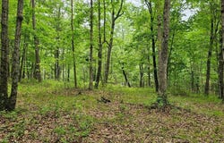 0 2 Lake Trl, Dunlap, TN 37327