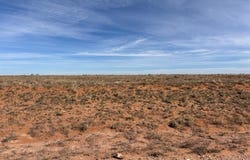 County Road 225, Plains, TX 79355