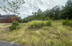 Lot 13 Cedar Landing Subdivision, Branson, MO 65616