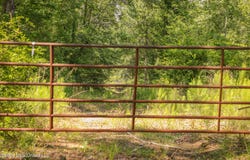 Graves Road, Liberty, MS 39645