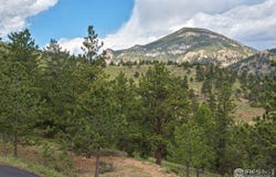 1078 Crestview Ct, Estes Park, CO 80517