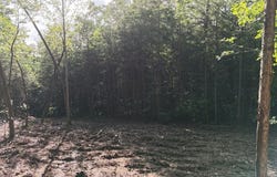 Tr A New Hope Road E, Ellijay, GA 30536