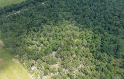 Tract 2 Keepsake Road, Stoutland, MO 65567