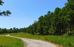 tbd Peach Creek Road, Fan, OK 74935