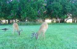 1734 Georgia Rd, Humboldt, KS 66748