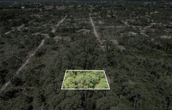 242 CONDOR AVENUE, SEBRING, FL 33870