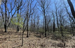 134 Maple Drive, Cresco, PA 18326