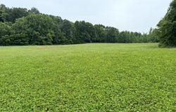 SNEED Rd, Unicorp/Drummonds, TN 38023