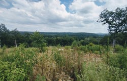 Ridge Top rd, Melbourne, AR 72556